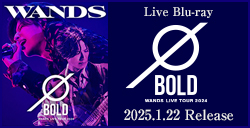 Live Blu-ray「WANDS Live Tour 2024 ～BOLD～」2025年1月22日(水)に発売決定！