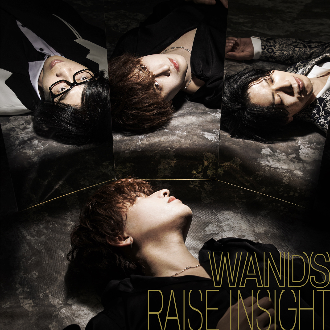「RAISE INSIGHT」